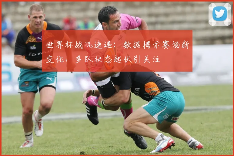 世界杯战况速递：数据揭示赛场新变化，多队状态起伏引关注